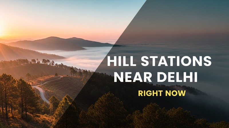 Best hill stations near Delhi right now with mountain landscape, mist, and scenic road